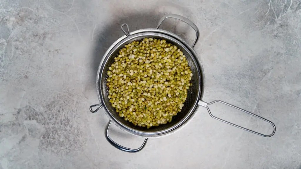 Cooked mungbeans in a sieve for Mungbean Curry