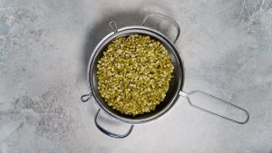 Cooked mungbeans in a sieve for Mungbean Curry