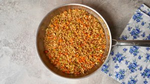 Vegan Lasagna protein roast